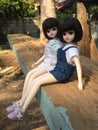 Adorable twins dolls named LICCA chan.